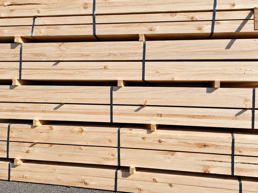 Radiata Pine timber stack in natural sunlight.